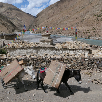 nepal00005