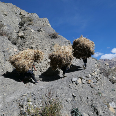 nepal00006