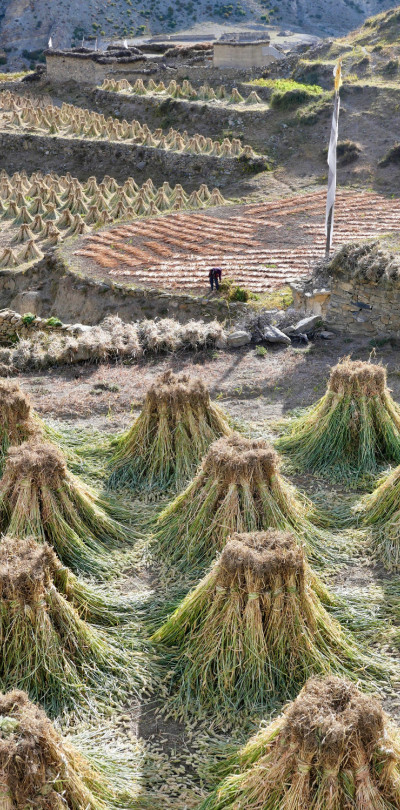 nepal00008