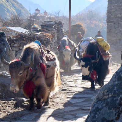 nepal00023