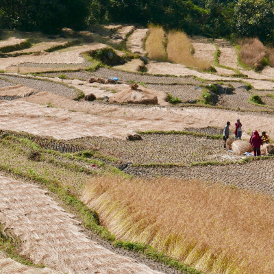 nepal00025