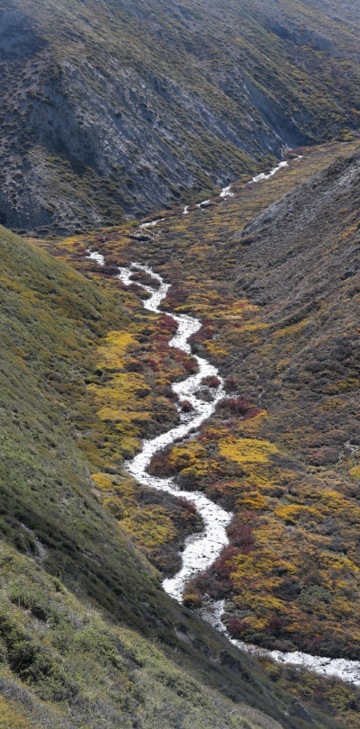 yl1024541
